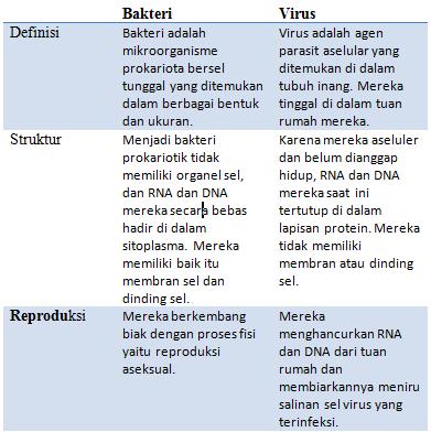 Perbedaan antara virus dan bakteri