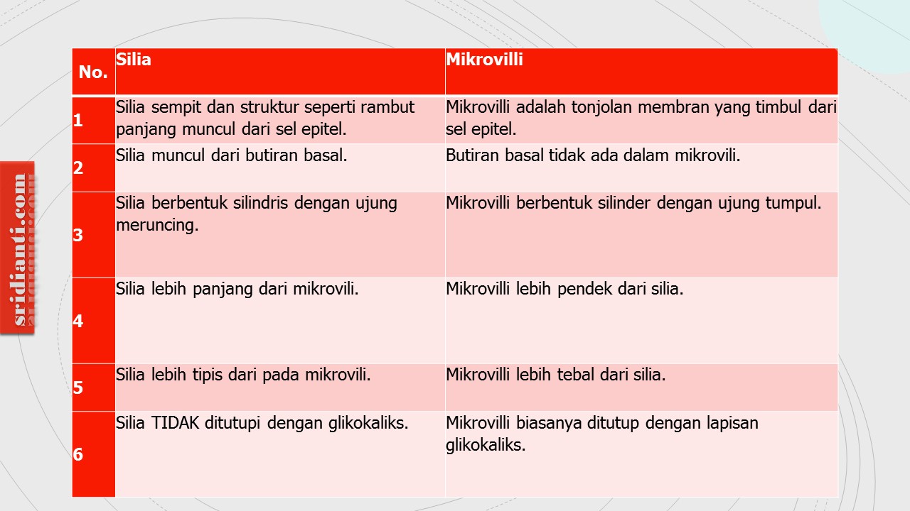 Perbedaan antara silia dan Mikrovili