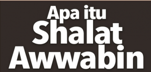 Shalat Awwabin
