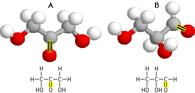 Isomer struktural