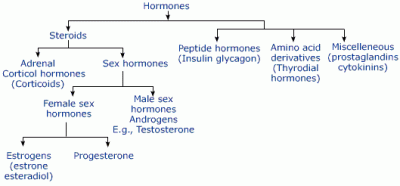 Hormon pada hewan