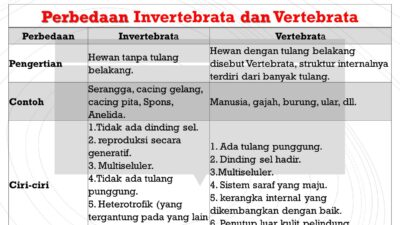 Perbedaan_Invertebrata_dan_Vertebrata